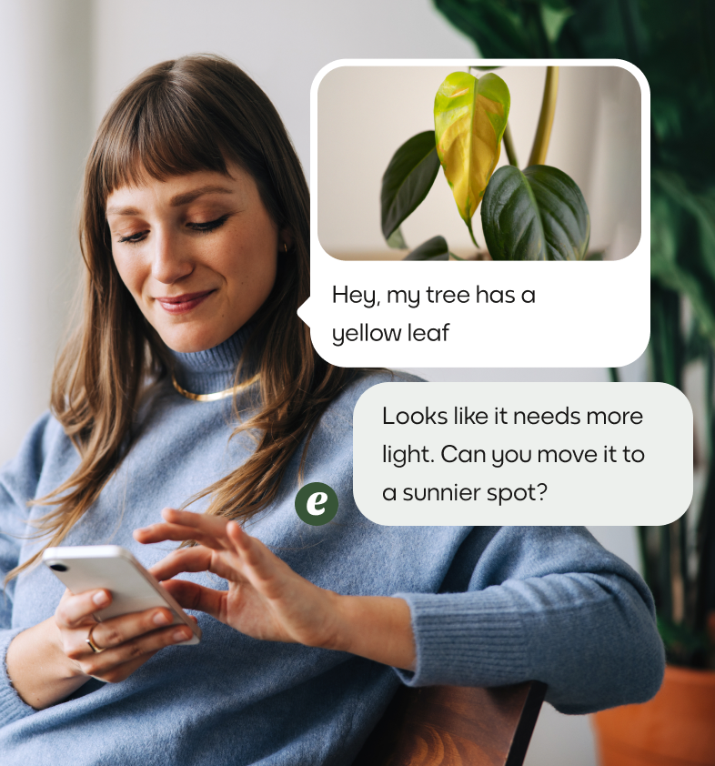 Plant expert chatting