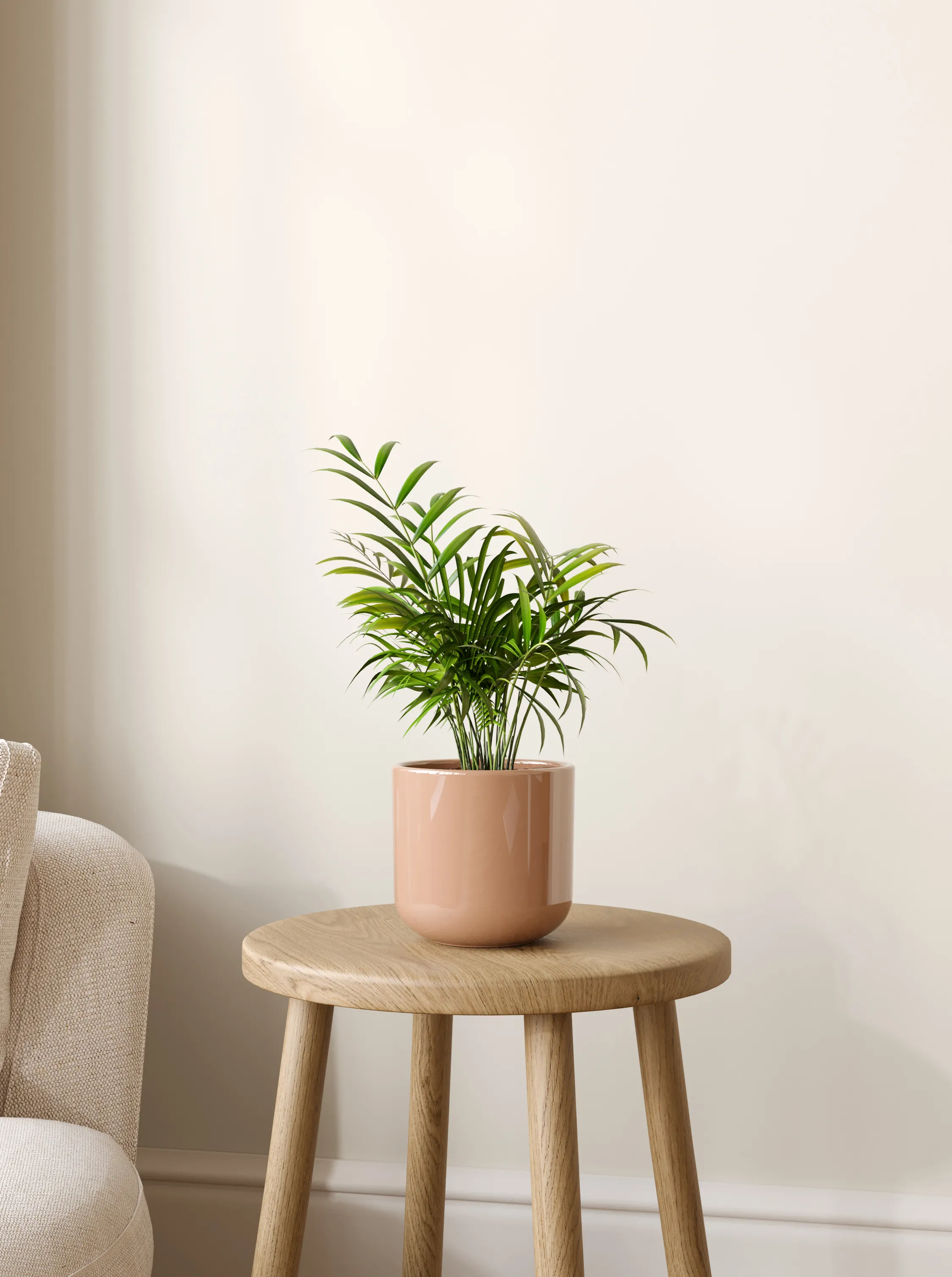 Small plants